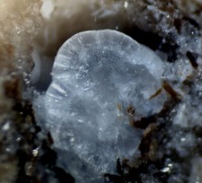 Zeophyllit apophyllit bellerbe gebraucht kaufen  Oberstenfeld