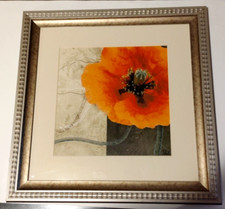 Orange poppy flower for sale  Lenhartsville