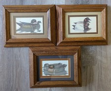 prints duck richard sloan for sale prints duck richard sloan for sale Albuquerque