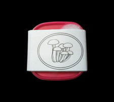 Sconto agrocybe aegerita usato  Arese