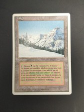 Mtg taiga excellent usato  Viu