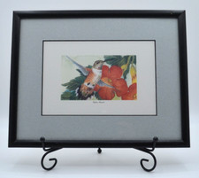 Framed humming bird for sale  Fallbrook