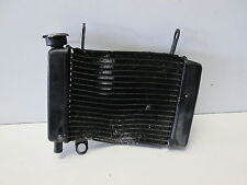 Wasserkühler kühler radiator gebraucht kaufen  Detmold