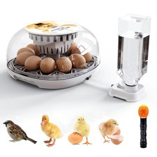 Eggs incubator eggs for sale  OLDHAM