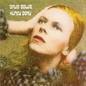 David bowie hunky for sale  STOCKPORT