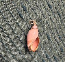 Conch shell pendant for sale  Altoona