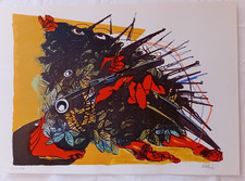 Litografia originale Le ciel... Joris Ivens Ennio Calabria dim. 47,0x33,7 cm usato  Roma