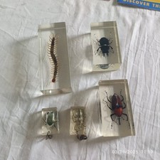 Insect encapsulated resin for sale  BELFAST