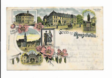 Meuselwitz postkarte 1906 gebraucht kaufen  Altenburg