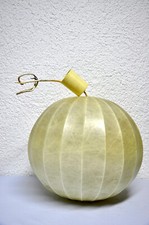 Cocoon hängelampe hängeleuch gebraucht kaufen  Malsch