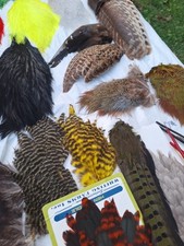 whiting saddle hackle for sale whiting saddle hackle for sale Guntersville