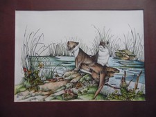 Otters riverside martin for sale  WEST MOLESEY