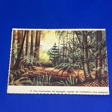 Ricostruzione paesaggio carbon usato  Bari