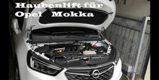 Pel mokka haubendämpfer gebraucht kaufen  Zweibrücken