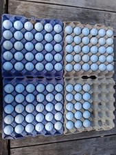 titleist prov1 golf balls for sale titleist prov1 golf balls for sale SUDBURY