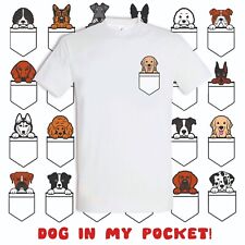 Pocket puppy dog for sale  LEICESTER