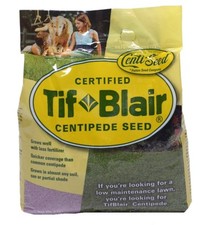 Tifblair centipede grass for sale  Odessa