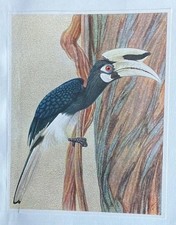 Bird print oriental for sale  SWINDON