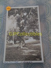 Dbi vintage photograph for sale  Metamora