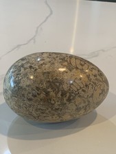 Unique large polished for sale  Englewood