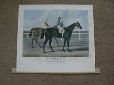 Charles xiith winner for sale  SWANSEA