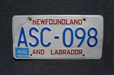 1993 newfoundland labrador for sale  Boulder