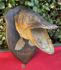 Antique british pike for sale  HEREFORD