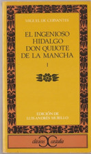 Libro spagnolo ingenioso usato  Sant Elpidio a Mare