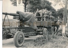A516 foto negativ gebraucht kaufen  Wolfen