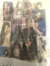 Selena quintanilla collages for sale  Memphis