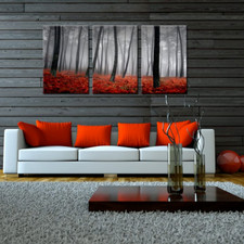 Pieces canvas prints for sale  Fontana