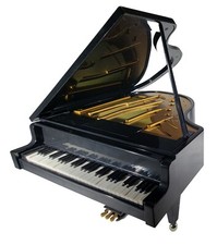 Chain fong player for sale  Spring Hill