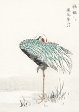 Plakat 67,5x95cm White-naped Crane, Kashu Vintage do Salonu na sprzedaż  PL