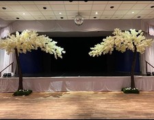 Canopy blossom trees for sale  MARGATE