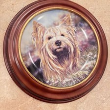 Vintage yorkshire terrier for sale  Punta Gorda