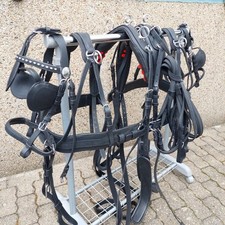Top leder zweispänner gebraucht kaufen  Herten