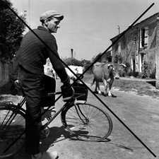 Photo gaston chaissac d'occasion  Toulouse-