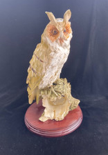 Large great horned for sale  ROSS-ON-WYE