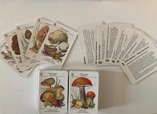 Ddr kartenspiel pilze gebraucht kaufen  Pockau