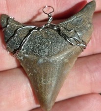 COLAR PINGENTE DENTE MEGALODONTE GENUÍNO COR RARA ENVOLTO EM FIO JOIA BOHO  comprar usado COLAR PINGENTE DENTE MEGALODONTE GENUÍNO COR RARA ENVOLTO EM FIO JOIA BOHO  comprar usado  Enviando para Brazil