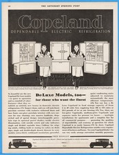 1929 copeland electric for sale  Butler