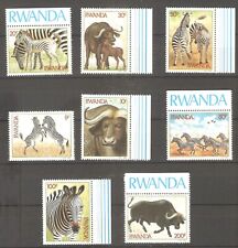 Zebra büffel 1984 gebraucht kaufen  Leipzig