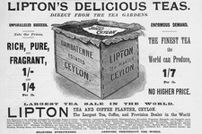 Lipton tea tea for sale  GLASGOW