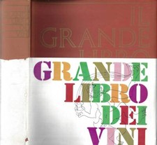 Grande libro dei usato  Italia