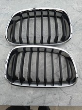 Bmw f20 nieren gebraucht kaufen  Niederkassel