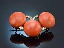 Seltene korallen brosche gebraucht kaufen Seltene korallen brosche gebraucht kaufen  München