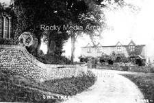 Klm owl tree for sale  ROCHDALE