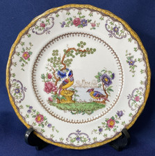 Spode copelands chelsea for sale  BRAINTREE
