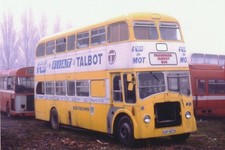 Colour photo southdown for sale  TAUNTON