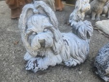 Shitzu dog concrete for sale  Shelbyville